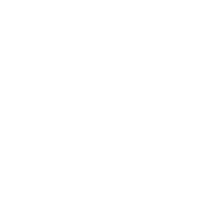 11 ASEAN Member States